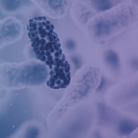 “On My Own”—Desperate to Stop a Resistant Bacterial Infection