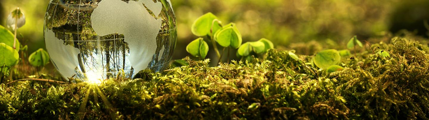 earth-day