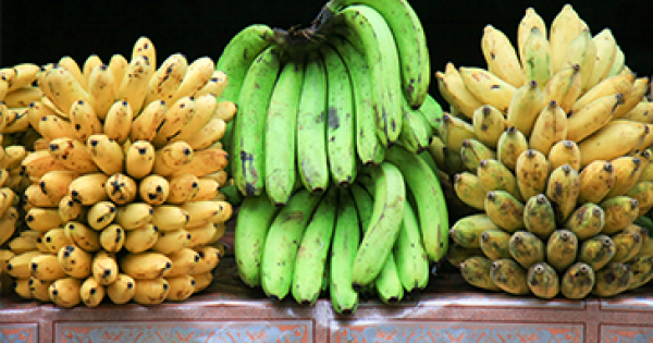 Improving Food Systems: The Case of the Banana