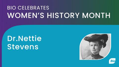 Nettie Stevens