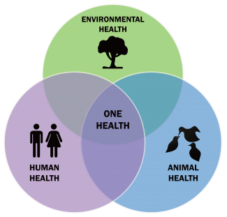 One Health Concept: Animal Health, Environmental Health and Human Health